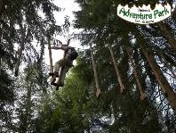 Esterno - Area Dolomiti Adventure Park Forni di Sopra