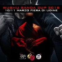 8^ Edizione Wu Shu Sanda Cup Udine
