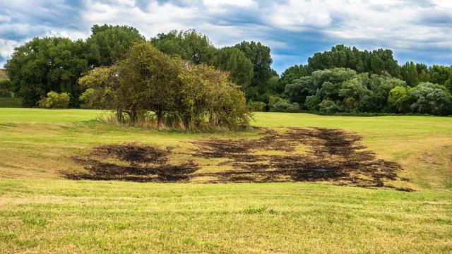 Area BioVegan (Esterno)