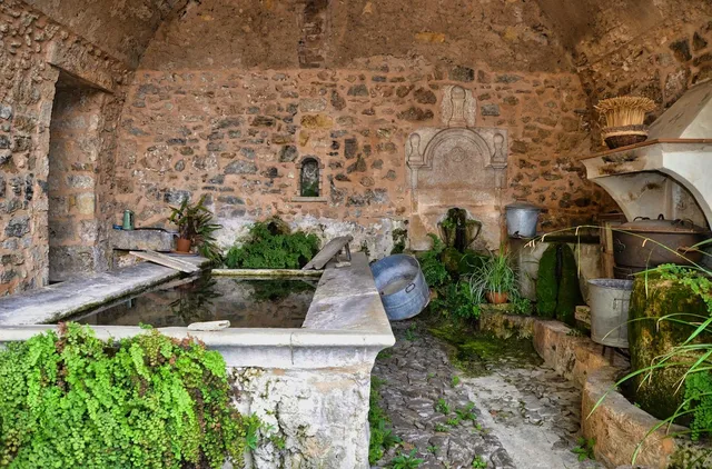 Area BioVegan (Esterno)