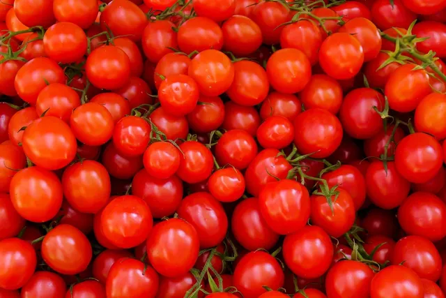 Area BioVegan (Esterno)