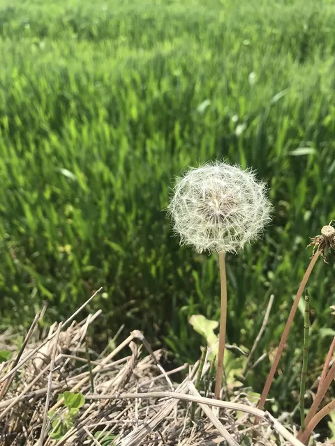 Area BioVegan (Esterno)