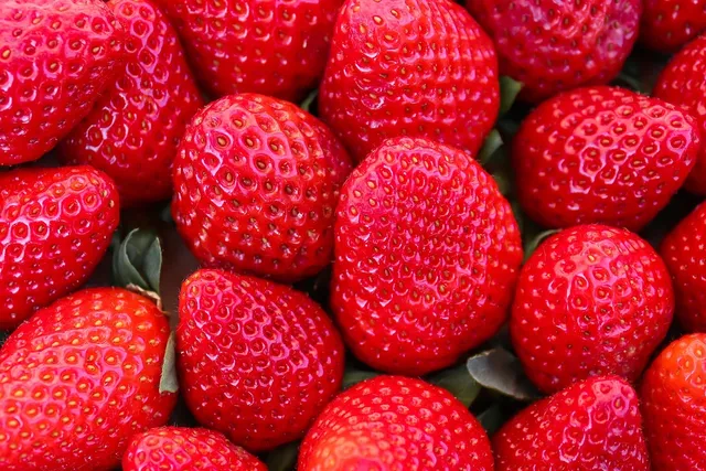Area BioVegan (Esterno)