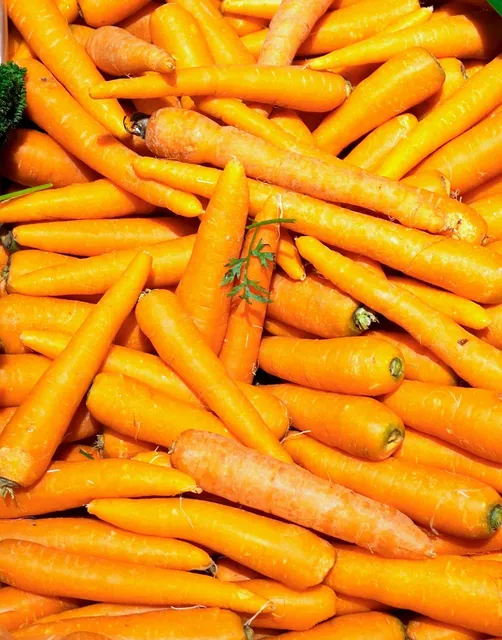 Area BioVegan (Esterno)