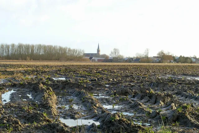 Area BioVegan (Esterno)