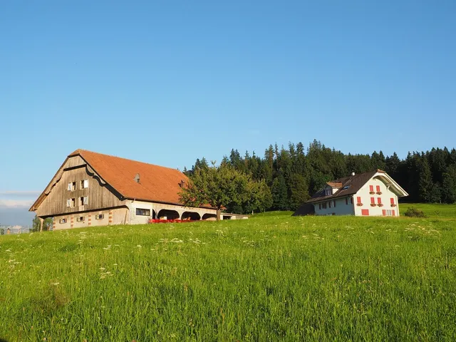 Area BioVegan (Esterno)