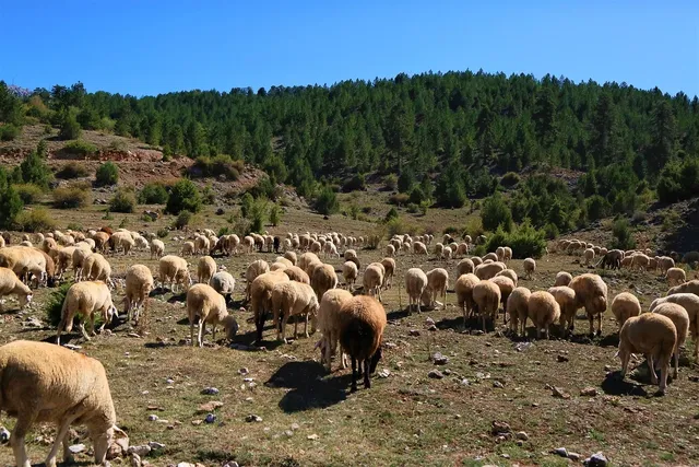 Area BioVegan (Esterno)