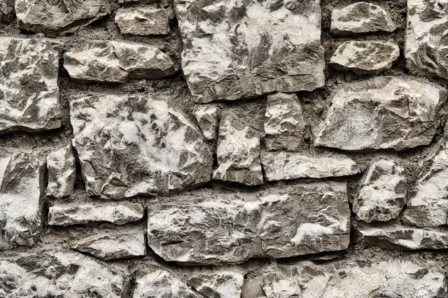 Area BioVegan (Esterno)