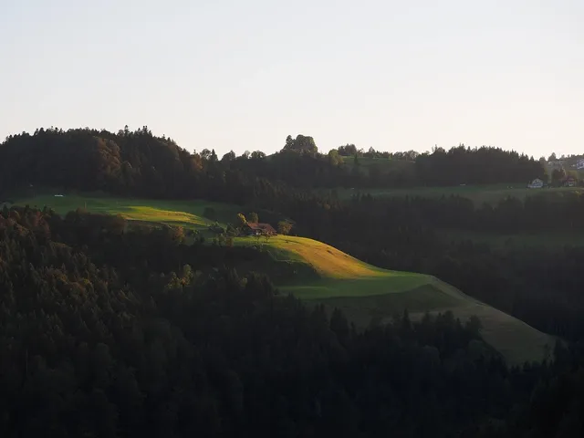 Area BioVegan (Esterno)