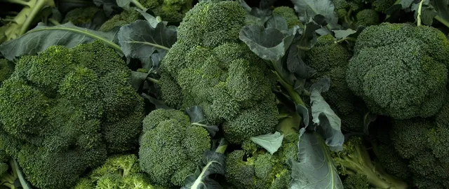 Area BioVegan (Esterno)