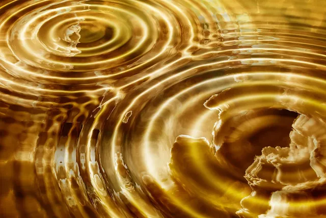Il Benessere Universale - Il cerchio della vita: molte voci, una canzone