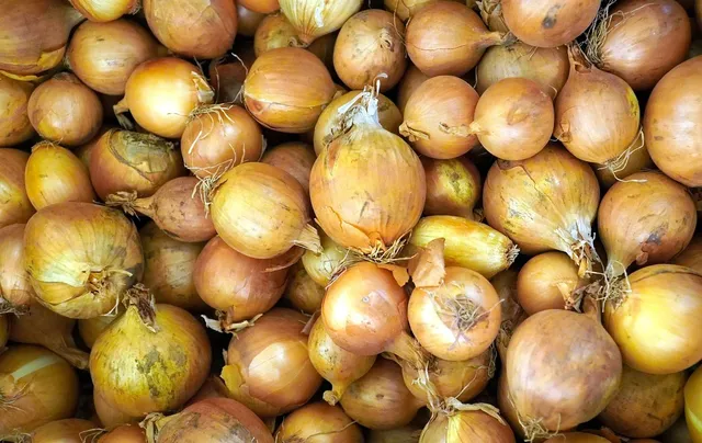 Area BioVegan (Esterno)