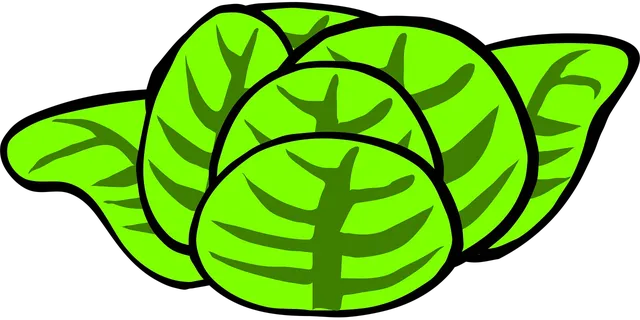 Area BioVegan (Esterno)