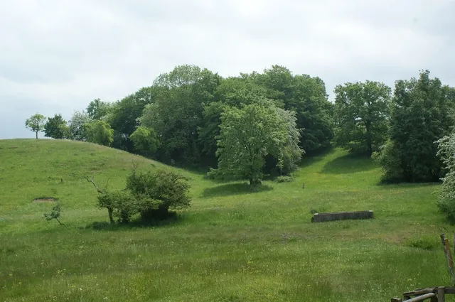 Area BioVegan (Esterno)