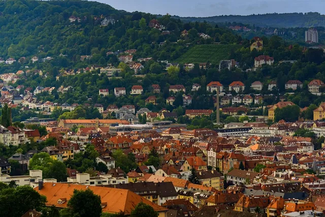 Area BioVegan (Esterno)