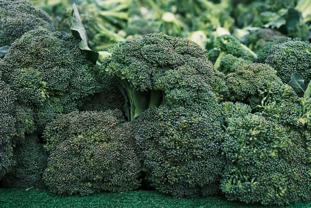 Area BioVegan (Esterno)