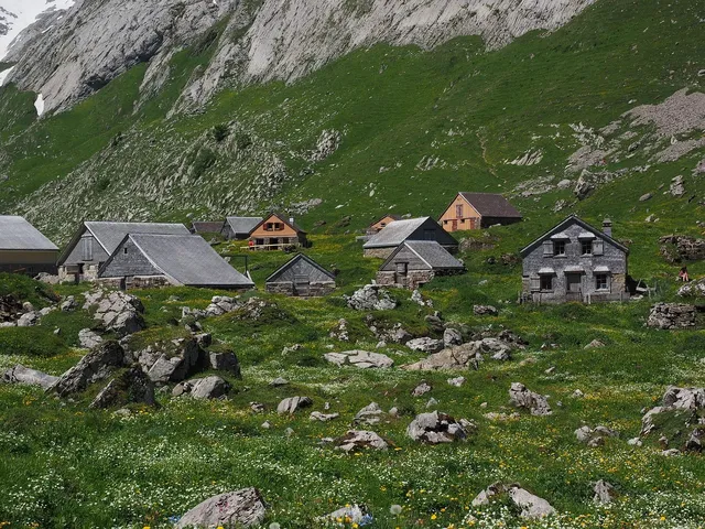 Area BioVegan (Esterno)
