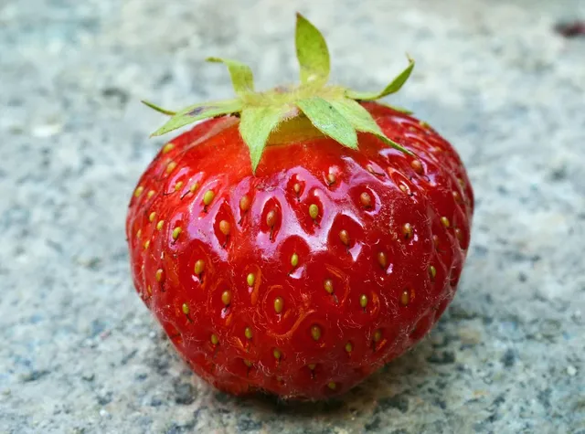 Area BioVegan (Esterno)