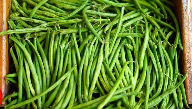 Area BioVegan (Esterno)