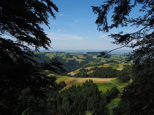Area BioVegan (Esterno)