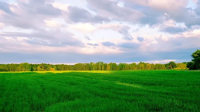 Area BioVegan (Esterno)