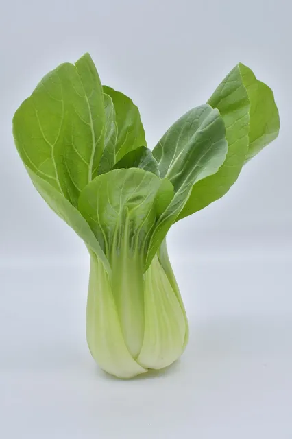 Area BioVegan (Esterno)