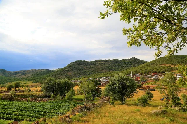 Area BioVegan (Esterno)