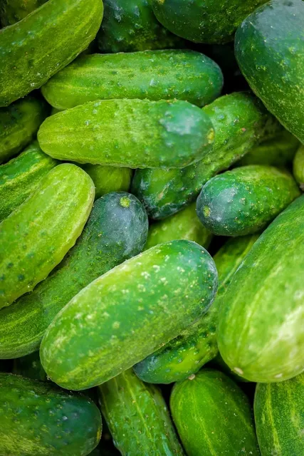 Area BioVegan (Esterno)