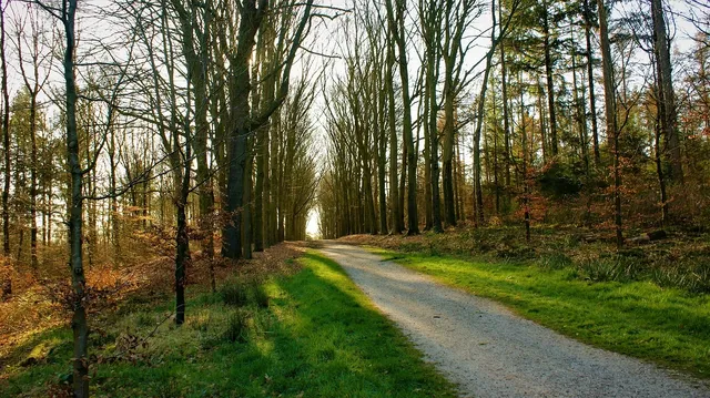 Area BioVegan (Esterno)