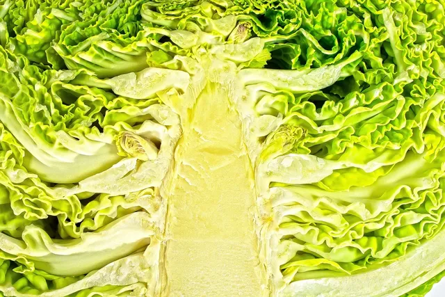 Area BioVegan (Esterno)