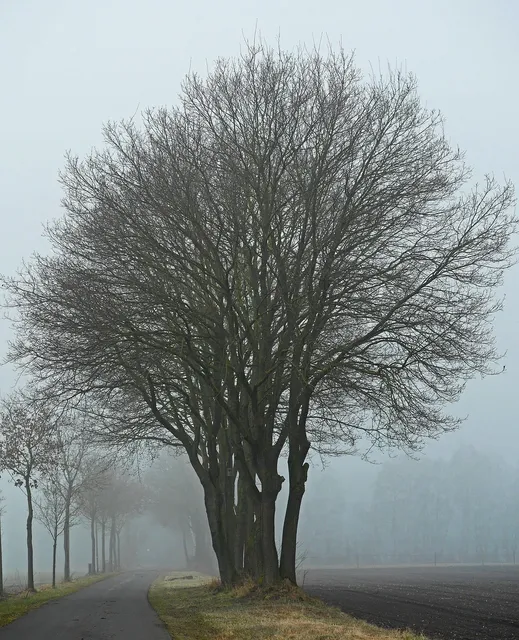 Area BioVegan (Esterno)