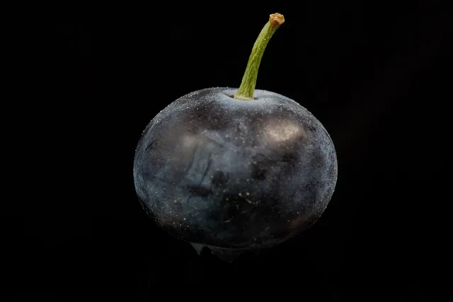 Area BioVegan (Esterno)